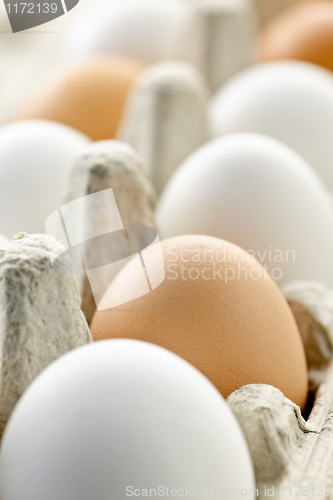 Image of Eggs