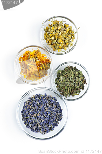 Image of Dried medicinal herbs