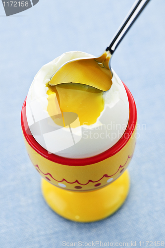 Image of Soft boiled egg in cup
