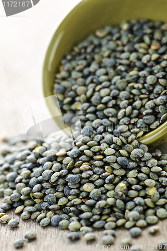 Image of Bowl of uncooked French lentils