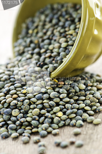 Image of Bowl of uncooked French lentils