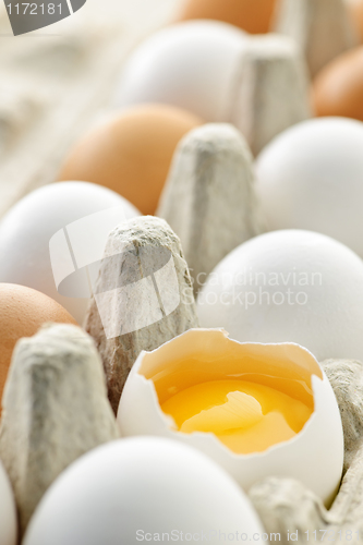 Image of Eggs in box