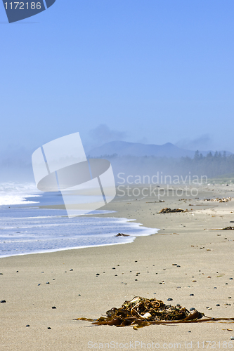 Image of Coast of Pacific ocean in Canada