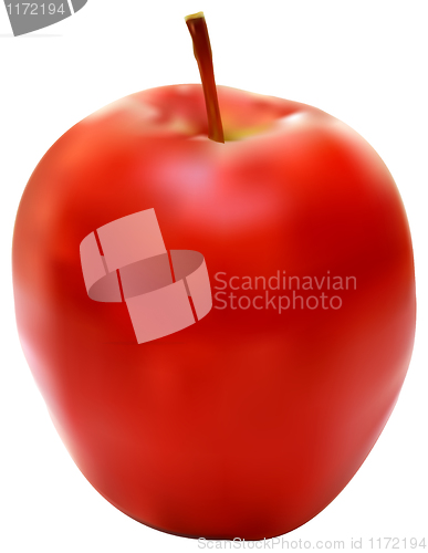 Image of illustration of the fresh red apple