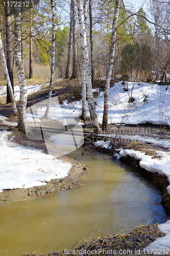 Image of River in the forest