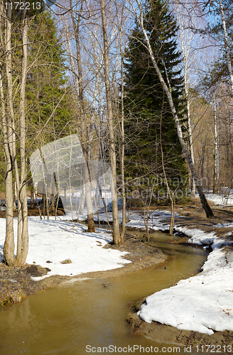 Image of River in the forest