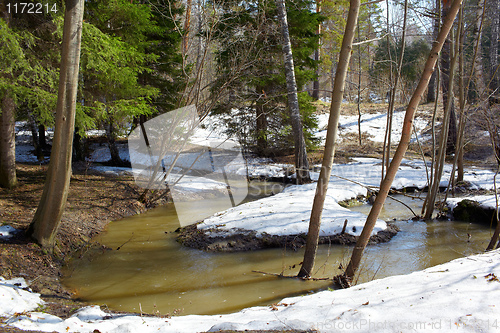 Image of River in the forest