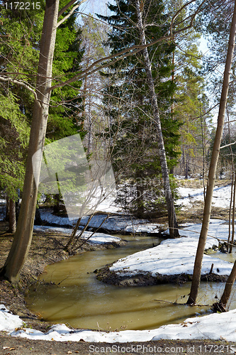 Image of River in the forest