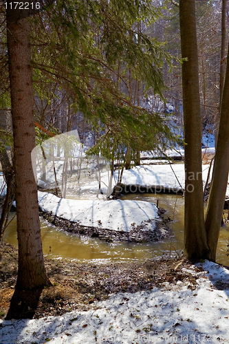 Image of River in the forest