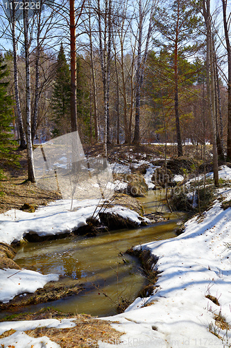 Image of River in the forest