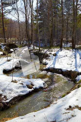 Image of River in the forest