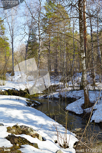 Image of River in the forest