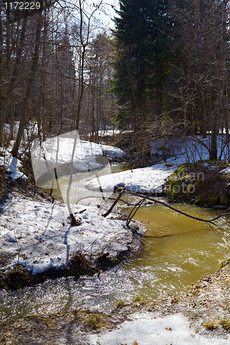 Image of River in the forest