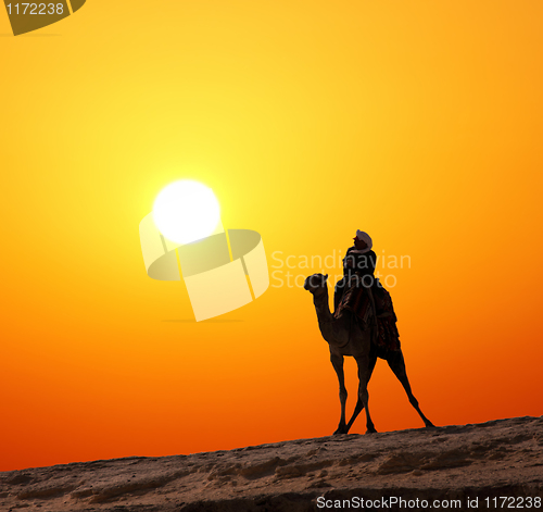 Image of bedouin on camel silhouette against sunrise