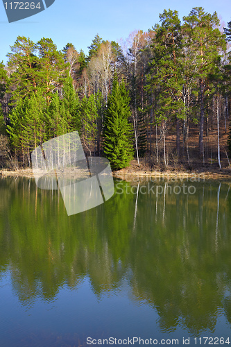 Image of Pond