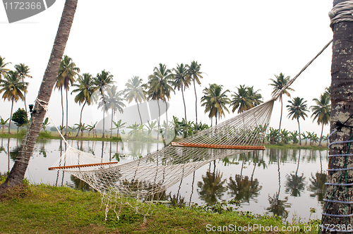 Image of hammock