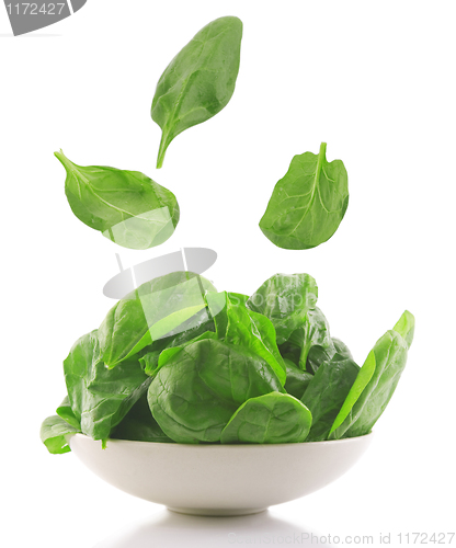 Image of fresh spinach in a white bowl 