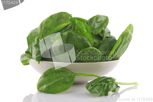 Image of fresh spinach in a white bowl 
