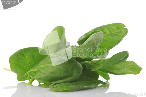 Image of front view of fresh spinach, vegetarian food