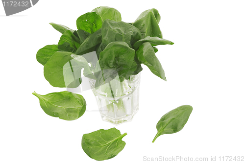 Image of fresh spinach in a glass