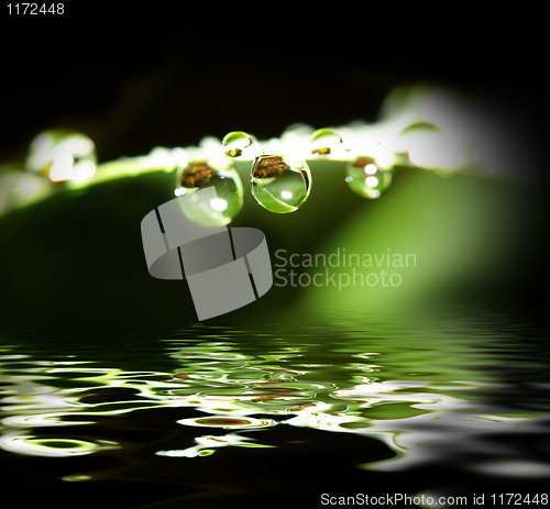 Image of water drop background