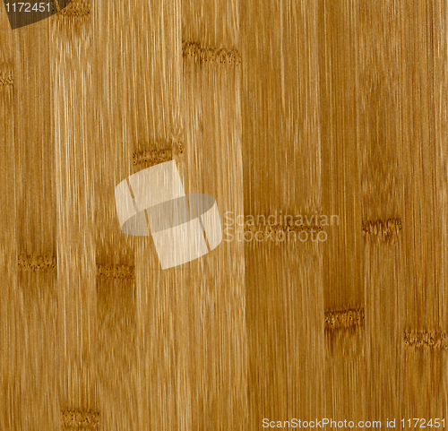 Image of bamboo fine detail texture