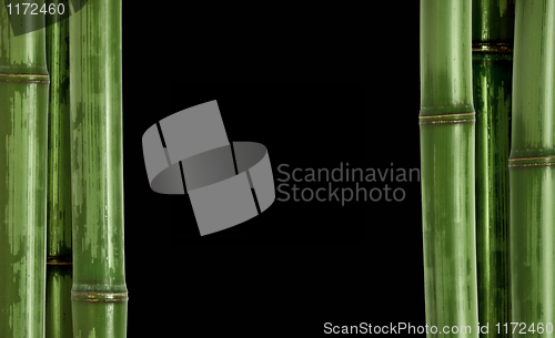Image of hard bamboo background