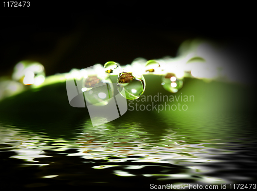 Image of water drop background