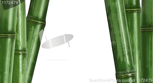 Image of bamboo background isolated on white