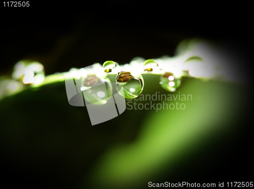 Image of water drop background