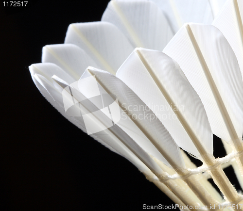 Image of  closeup of shuttlecock background