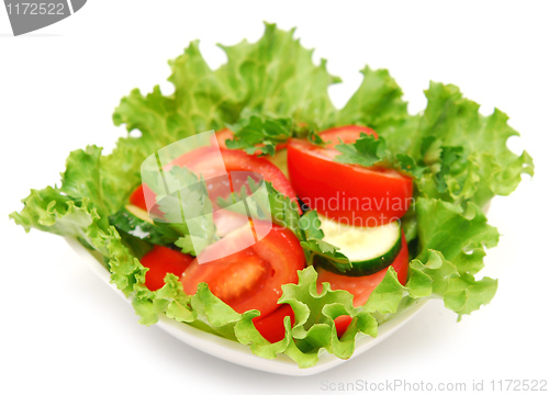 Image of fresh salad