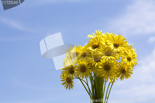 Image of Bouquet of yellow flowers