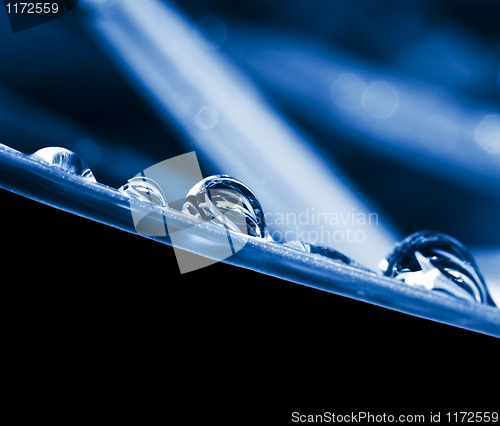 Image of abstract drop