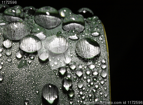 Image of rain drop
