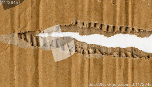 Image of Corrugated cardboard