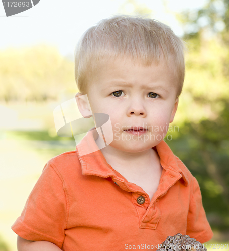 Image of Cute Young Boy Portrait in The Park