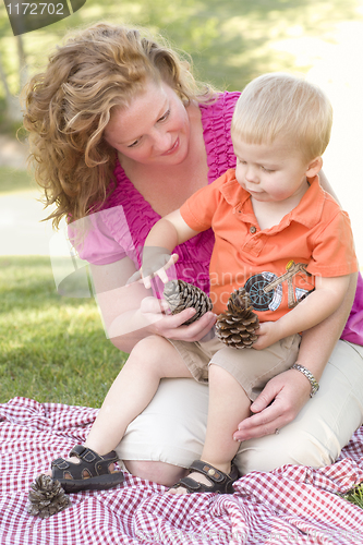 Image of Mother and Son Talk about Pine Cones in Park