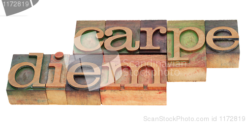 Image of carpe diem in letterpress type