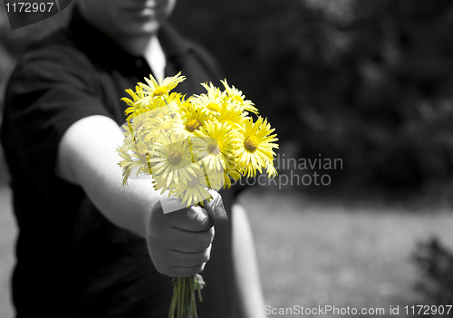 Image of Yellow flowers