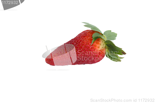 Image of isolated strawberry