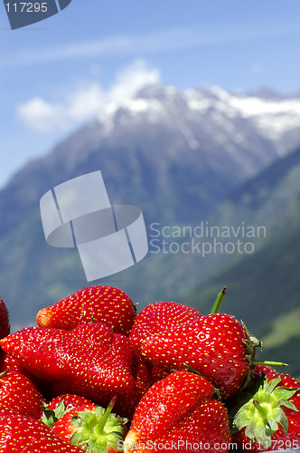 Image of Mountain Wellness
