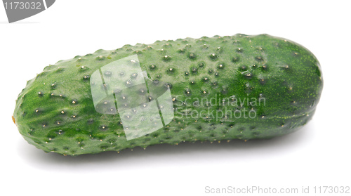 Image of cucumber 