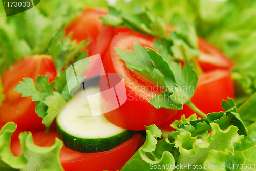 Image of fresh salad