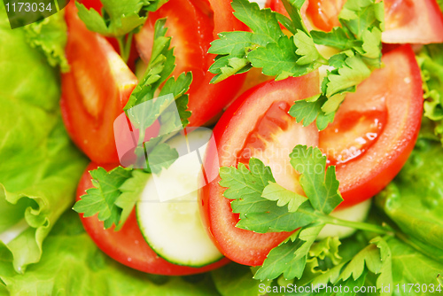 Image of fresh salad