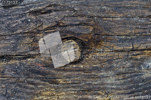 Image of wood grunge