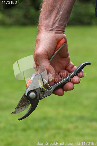 Image of garden's tool