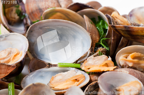 Image of Cooked clams