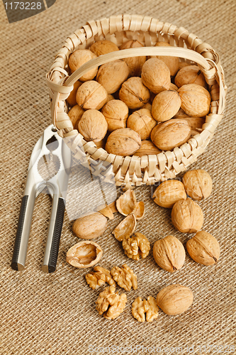 Image of Walnuts in basket