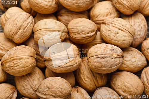 Image of Walnut background